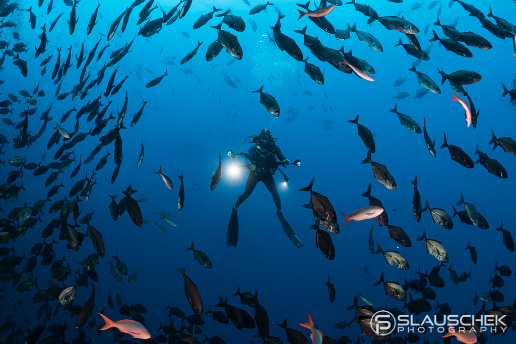 Erlebnisakademie Tirol