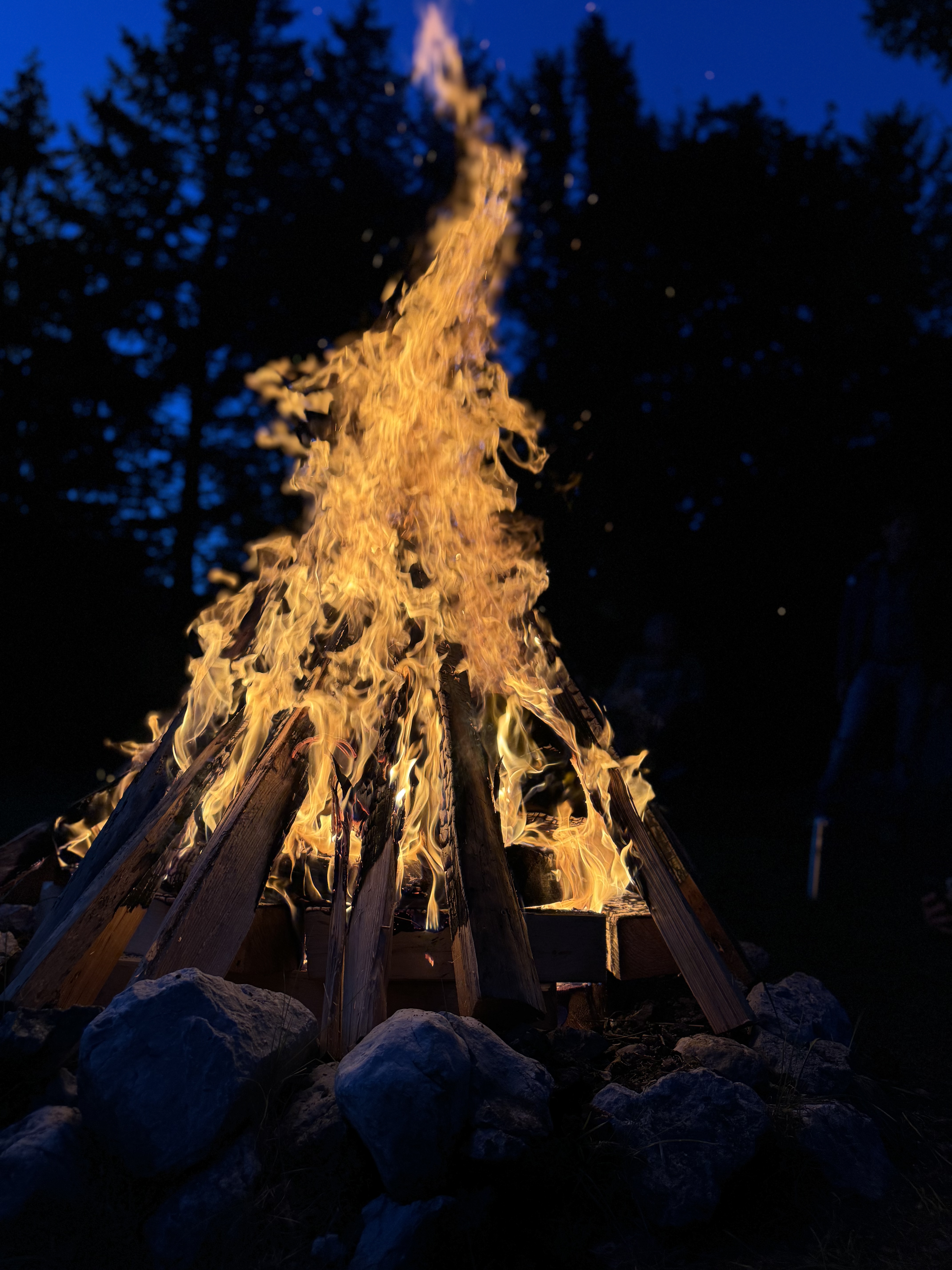 2E2B17EE-ACEA-4670-A588-E7DABEDE22A4